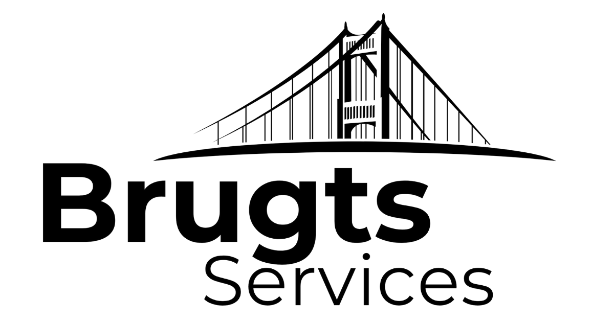 BrugtsServices – Technical Shopify Support (NL & Global)