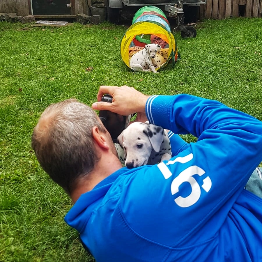 Puppy Shoot